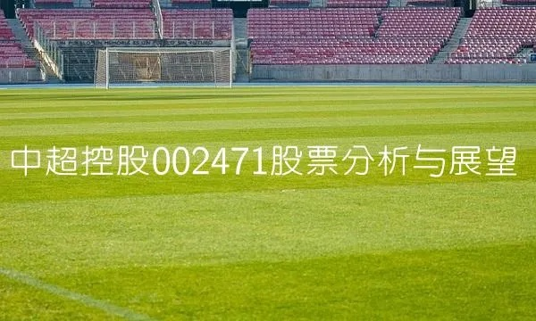 中超集团股票投资分析与展望-第2张图片-www.211178.com_果博福布斯