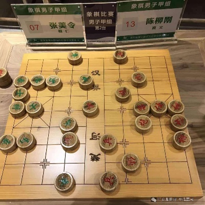 2016年贵阳象棋比赛精彩回顾（冠军出乎意料，棋局惊险刺激）-第3张图片-www.211178.com_果博福布斯